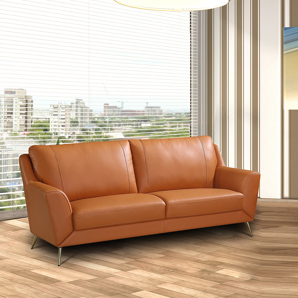 Canapé en cuir véritable choisi par couleur de salon de meubles de style moderne